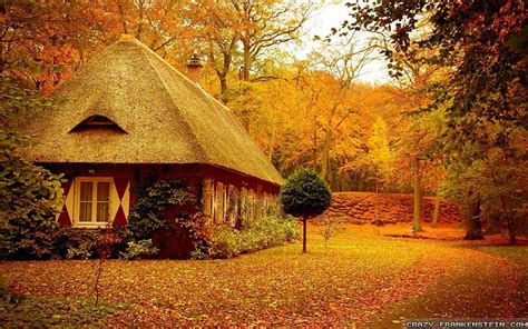 720p Free Download Little House In The Forest Architecture Forest