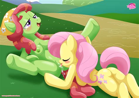 Rule 34 2girls Earth Pony Equestria Untamed Female Fluttershy Mlp