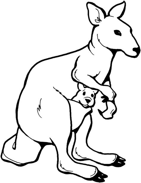Draw this cute kangaroo by following this drawing lesson. Line Drawing Of A Kangaroo | Free download on ClipArtMag