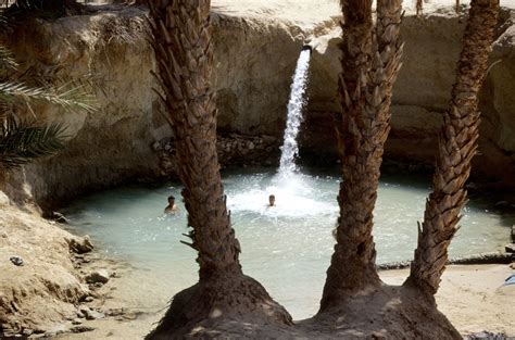 Oasi Di Tozeur E Oasi Di Nefta Tunisia Outdoor Water