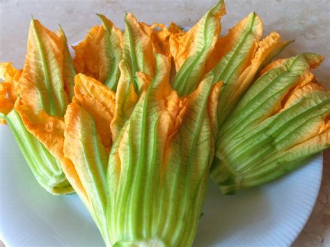 FIORI DI ZUCCA IMPANATI