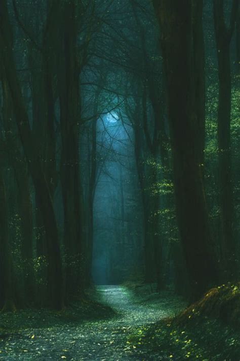 Pin By Souha On Photography Fantasy Landscape Mystical Forest Nature