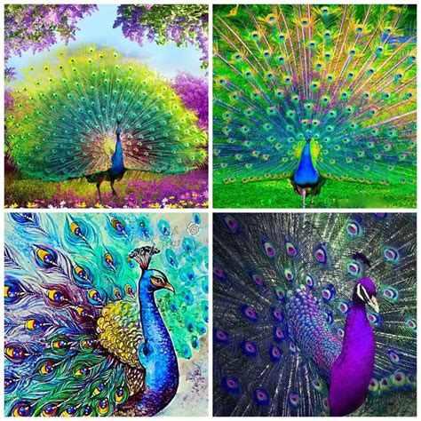 The Beauty Of The Peacock Diamond Painting Kits