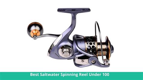 Best Saltwater Spinning Reel Under In Reviews And Guide