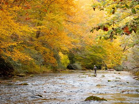 Maybe you would like to learn more about one of these? Ask the Experts: What Are Your Top 5 Fall Flies? - Xpert ...