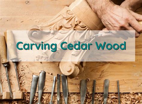 Carving Cedar Wood Everything You Need To Know