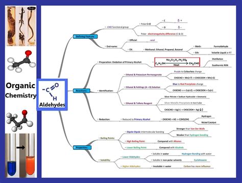 Matchless Carbon And Its Compounds Mind Map Physics Class 10 All