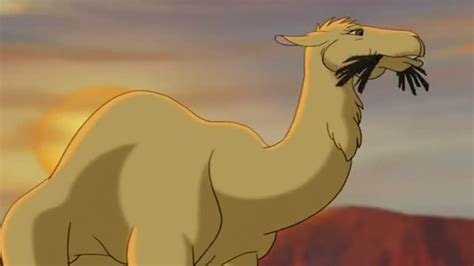 Kangaroo Jack Gday Usa Western Animation Tv Tropes
