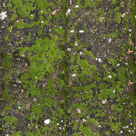 Moss Texture Seamless