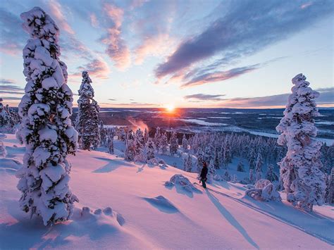 Arctic Treehouse Hotel On Twitter Lapland Winter Scenes Polar Night