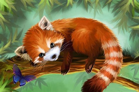 Red Panda By Evolvana Panda Illustration Panda Art