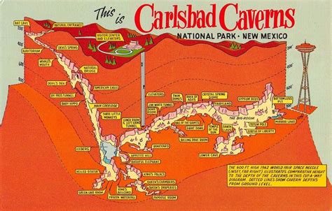 Carlsbad Caverns Depth Map New Mexico National Park Vtg Postcard 2