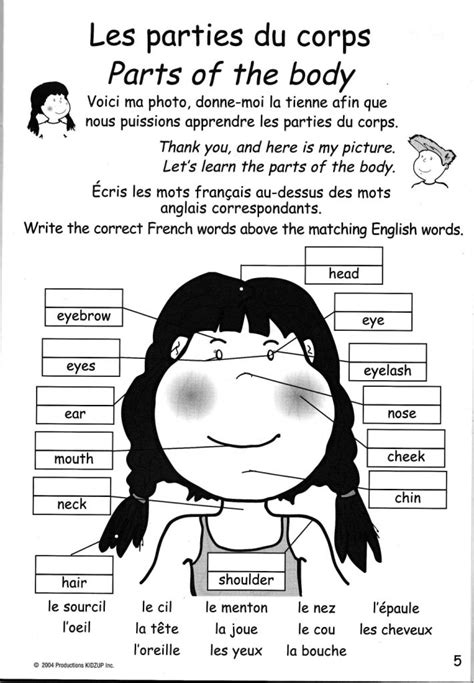 French Parts Of The Body Printable The Face Worksheet With Word Bank
