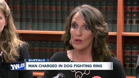 Erie County Officials Detail Dog Fighting Ring Arrest Youtube