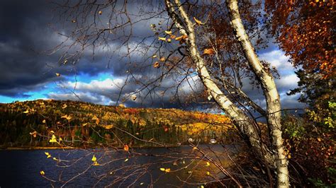 Lake Between Colorful Autumn Trees Under Black Blue Cloudy Sky Hd