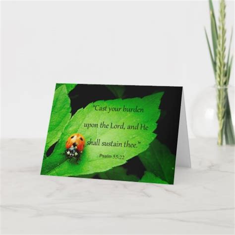Cute Ladybug God Cares For You Scripture Card