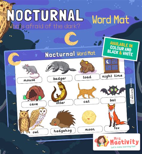 Nocturnal Animals Word Mat Light And Dark Resources Ks1