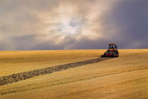 Harvest Field Free Stock Photo Public Domain Pictures