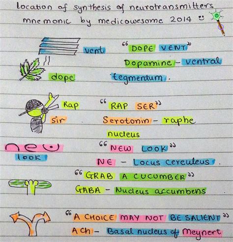 Medicowesome Location Of Synthesis Of Neurotransmitters Mnemonic Its