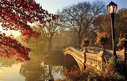 Autumn Bridge Fall Park Landscape Season Desktop