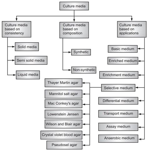 Culture Media In Microbiology Solution Parmacy