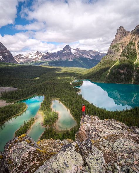 Tiffpenguin Lake Ohara Yoho National Park By Banff Canada Fun Life Crisis