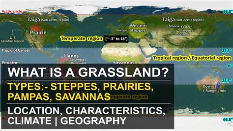 What Are Grassland Types Temperate And Tropical Location Characteristics Climate