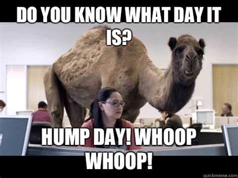 Trendy Hump Day Memes That Make You Laugh Quotesbae