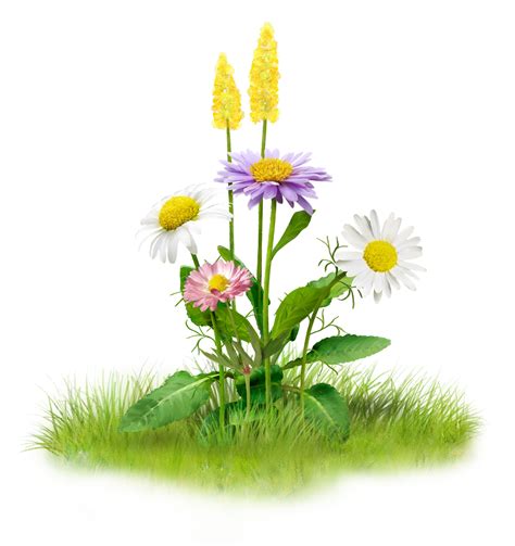 Nature Clip Art Nature Transparent Png Download Free Sexiz Pix