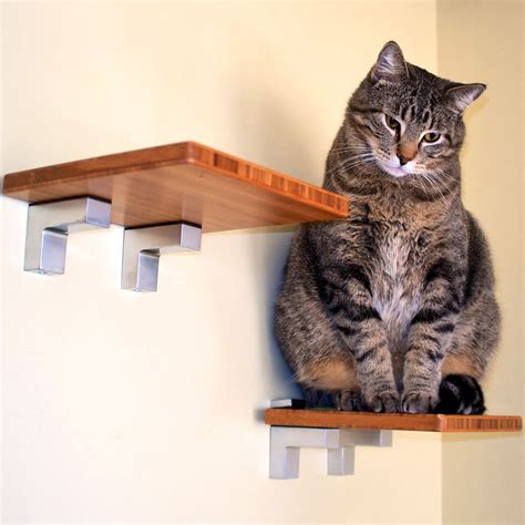14 Best Diy Cat Shelves To Build For Your Feline Friend