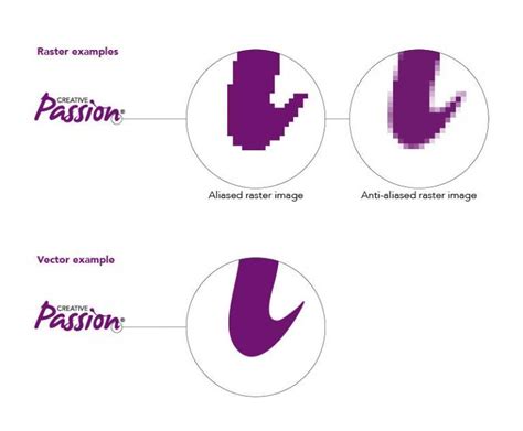 Whats The Difference Between Raster And Vector Creative Passion