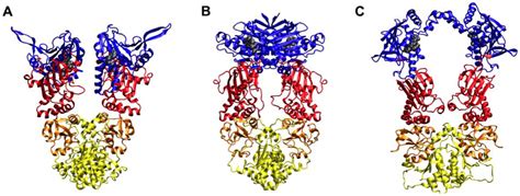 Pharmaceuticals Free Full Text Molecular Dynamics Simulations Of