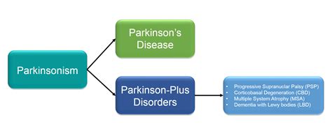 What Are Parkinson Plus Syndromes Cambridge Centre For Parkinson Plus