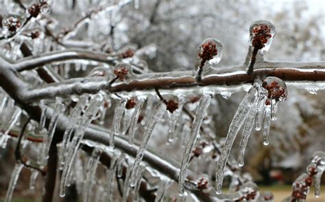 Whats The Difference Between Sleet And Freezing Rain And Graupel And