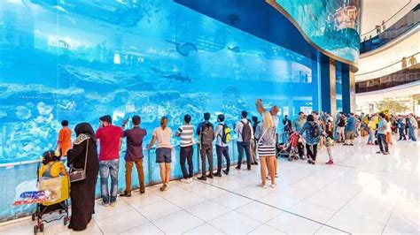 A Complete Guide To The Dubai Aquarium And Underwater Zoo