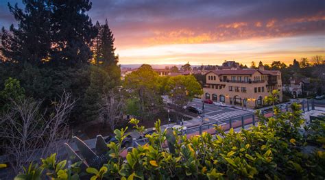 Palo Alto Sunset Age Friendly Silicon Valley
