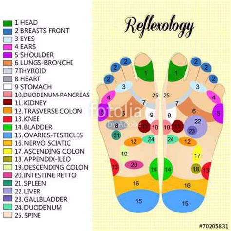 31 Printable Foot Reflexology Charts And Maps Templatelab