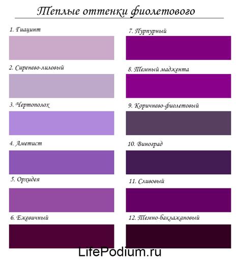 С какими цветами сочетается фиолетовый в одежде: 19 эффектных комбинаций по цветовому кругу ...