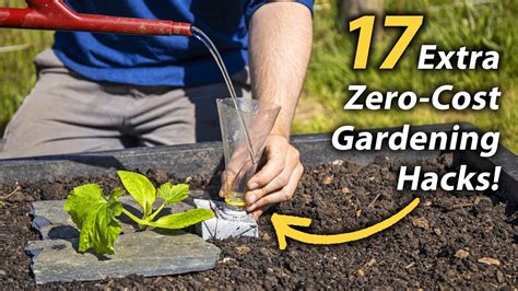 17 more brilliant free vegetable gardening hacks productive and easy garden hacks youtube