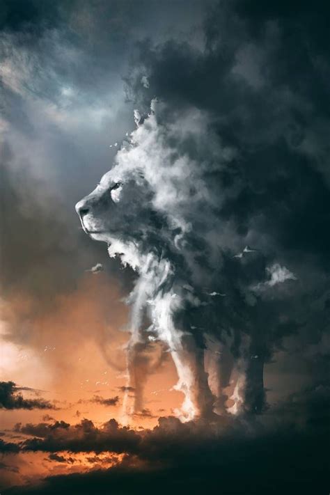 Mufasa In The Clouds Wallpapers Wallpaper Cave