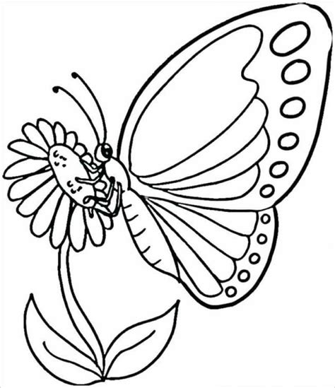 20 bức tranh tô màu con bướm đẹp cho bé Phú Long Blog