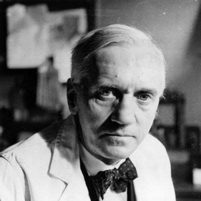 Alexander Fleming The Power Of Penicillin