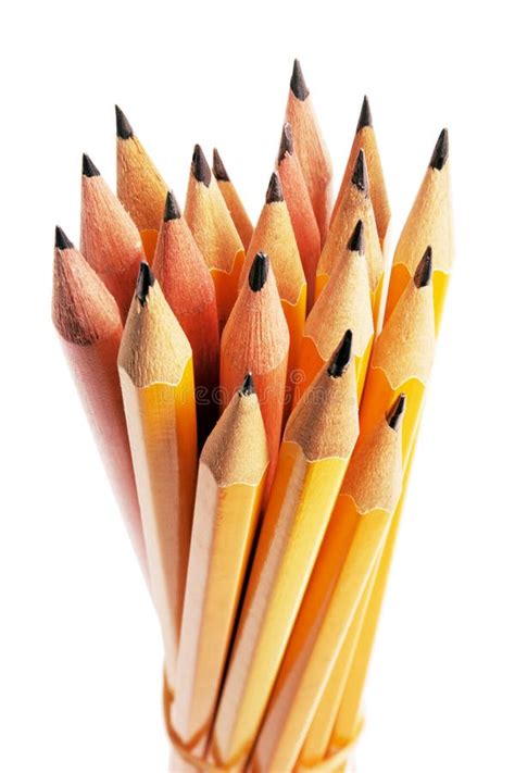 Bundle Of Pencils Stock Image Image Of Implements School 10054689