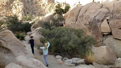 Joshua Tree Youtube