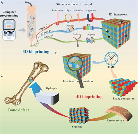 Frontiers Bioprinting For Bone Tissue Engineering