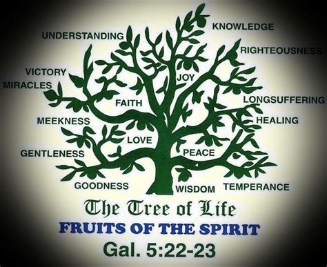 THE TREE OF LIFE | Tree of life quotes, Tree of life meaning, Fruit of ...