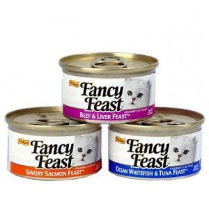 Should you choose grain free meals or whichever your cat, kitten, or senior finds the best tasting? Canned Cat Food2