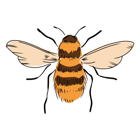 Bee Illustration Transparent Png Svg Vector File
