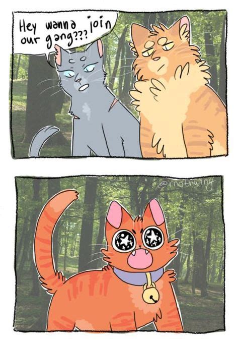 This Is Seriously Basically What Happened With Images Warrior Cats