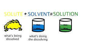 It will only get dissolved in the solvent when both. Print Unit 2: Chemistry of Life flashcards | Easy Notecards